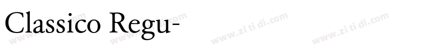 Classico Regu字体转换